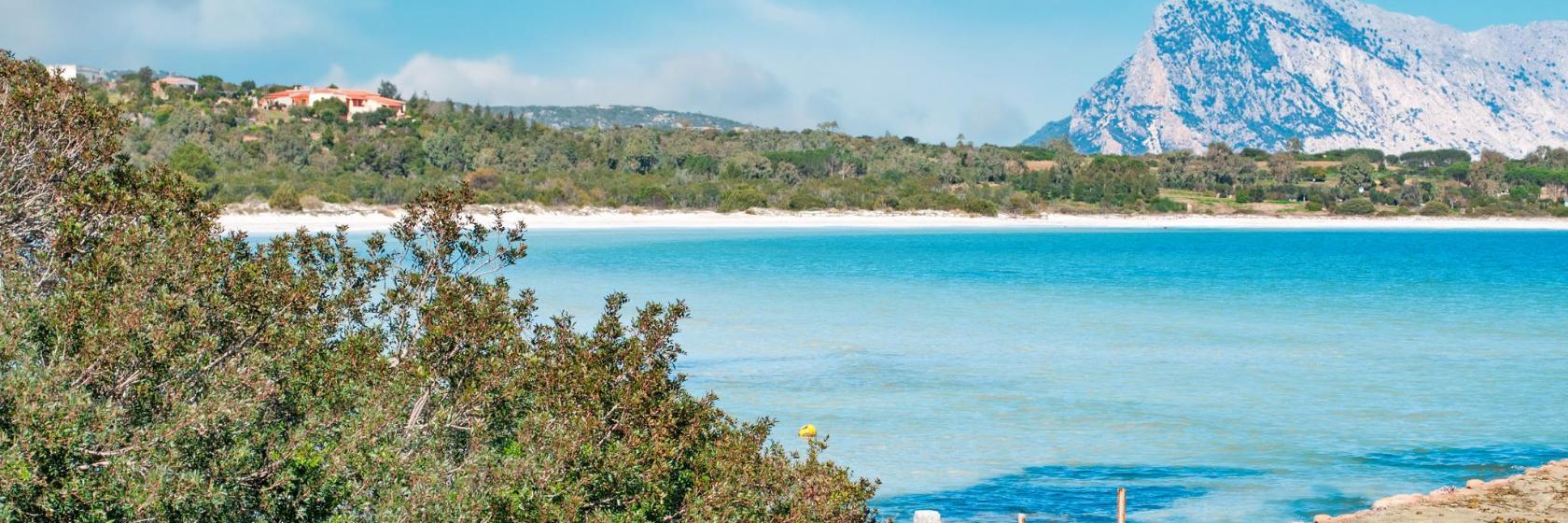 Playa de Cala Brandinchi